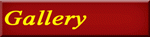 Click to proceed to this option
